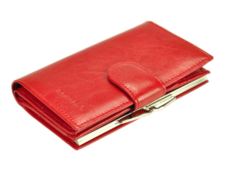 Portfel Z.Ricardo 093