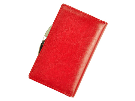 Portfel Z.Ricardo 093