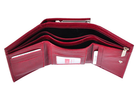Portfel Z.Ricardo 042
