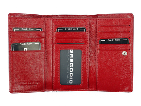 Portfel Gregorio PT-108