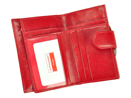 Portfel Z.Ricardo 093