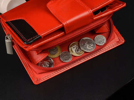 Damski skórzany portfel duży RFiD BELTIMORE