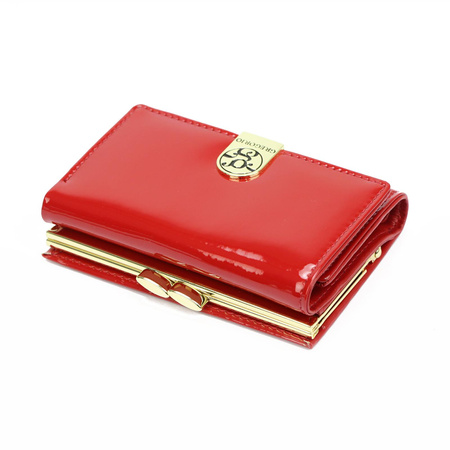 Portfel Gregorio LS-117