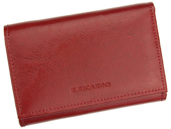 Portfel Z.Ricardo 021