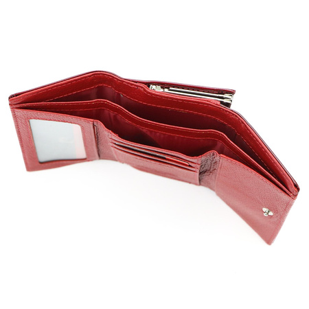 Portfel Pierre Cardin 05 LINE 117