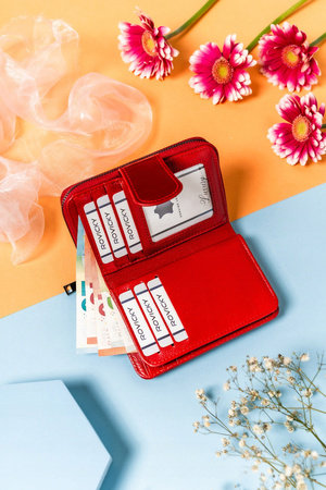 Klasyczny, elegancki portfel damski na zatrzask i suwak - Lorenti