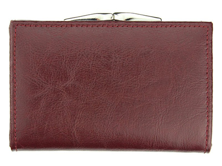 Portfel Z.Ricardo 025
