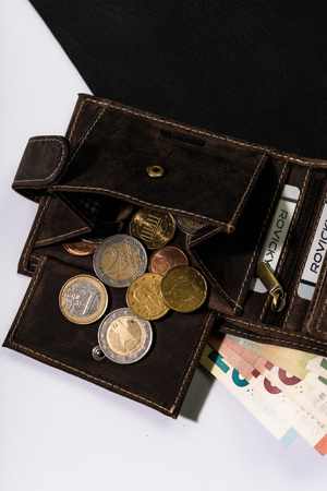 Duży portfel męski z nubukowej skóry naturalnej - Buffalo Wild