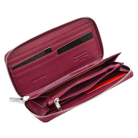 Portfel Pierre Cardin 05 LINE 119