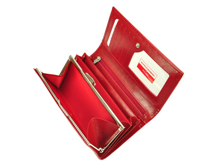 Portfel Z.Ricardo 036