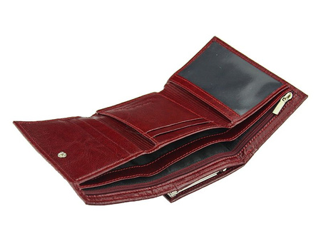 Portfel Z.Ricardo 025