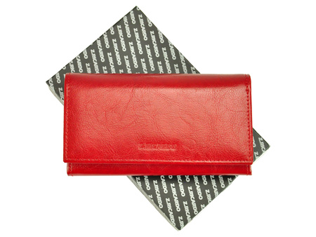 Portfel Z.Ricardo 036