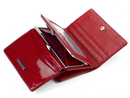 Portfel Gregorio PT-108