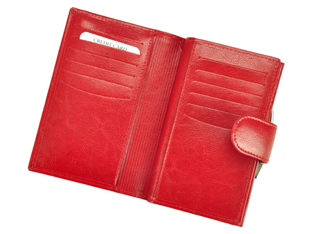 Portfel Z.Ricardo 093