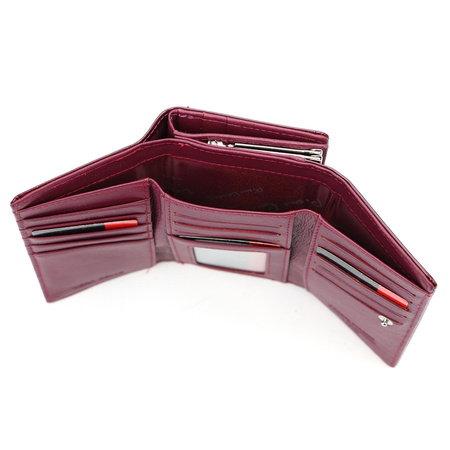 Portfel Pierre Cardin 05 LINE 108