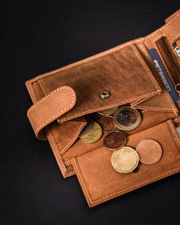 Portfel poziomy RFID Protect - Klasyka skórzana od Peterson