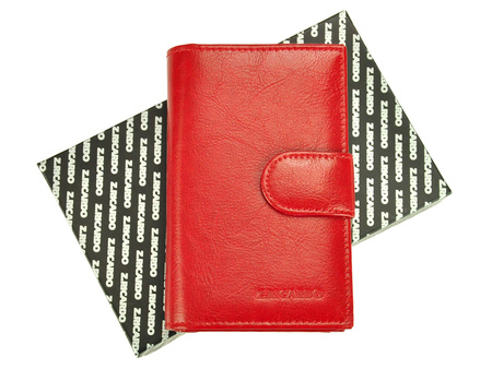 Portfel Z.Ricardo 093