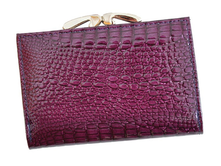 Portfel Jennifer Jones 5282-2