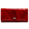 Portfel Alessio Nesca A55087