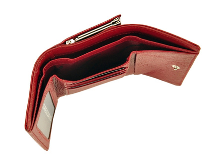 Portfel Gregorio BC-117