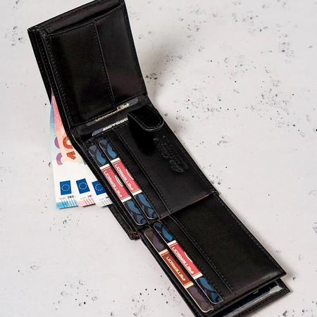 Portfel Peterson PTN 366.01 2-1-1