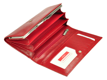 Portfel Z.Ricardo 036