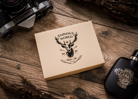 Portfel męski skórzany Always Wild w czerni - duży, casualowy