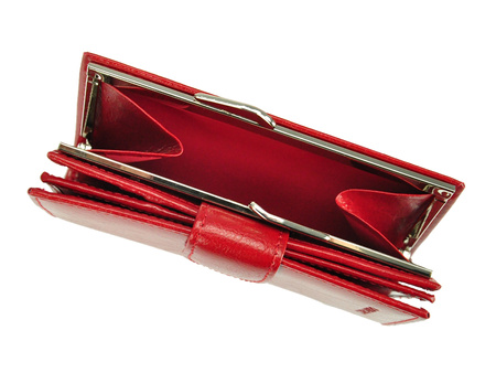 Portfel Z.Ricardo 093