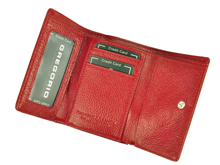 Portfel Gregorio BC-117