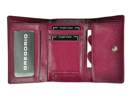 Portfel Gregorio GF117