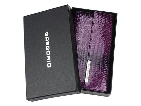 Portfel Gregorio GF109